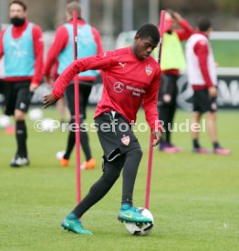 VfB Stuttgart Training