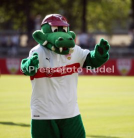 VfB Stuttgart Training