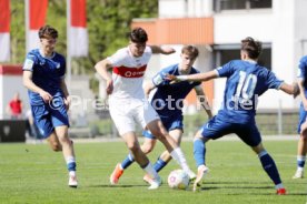06.04.24 U17 VfB Stuttgart - U17 TSG 1899 Hoffenheim