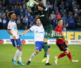 SC Freiburg - FC Schalke 04