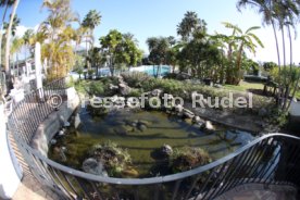 VfB Stuttgart Trainingslager Marbella 2020