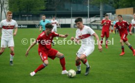 U19 VfB Stuttgart - U17 FC Bayern M&uuml;nchen