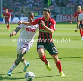 SC Freiburg - 1. FC Köln