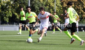 24.08.24 U19 VfB Stuttgart - U19 Stuttgarter Kickers