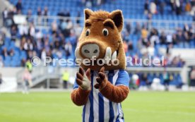06.08.23 Karlsruher SC - Hamburger SV