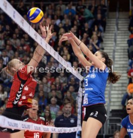 Dresdener SC - Allianz MTV Stuttgart