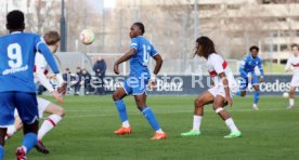 04.02.23 U19 VfB Stuttgart - U19 TSG 1899 Hoffenheim
