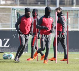 VfB Stuttgart Training