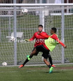 VfB Stuttgart Training