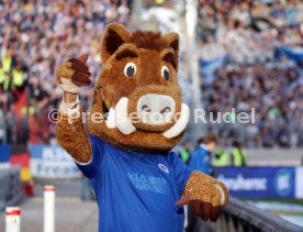 Karlsruher SC - FC W&uuml;rzburger Kickers