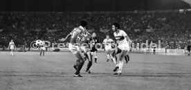VfB Stuttgart - Cosmos New York