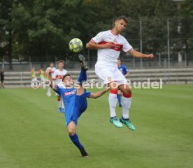 U19 VFB Stuttgart-SV Stuttgarter Kickers