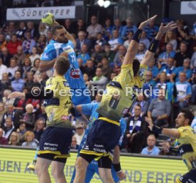 TVB 1898 Stuttgart - Rhein-Neckar L&ouml;wen