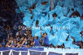 02.05.25 1. FC Heidenheim - VfL Bochum
