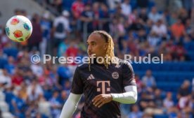 20.09.25 TSG 1899 Hoffenheim - FC Bayern M&uuml;nchen