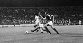 VfB Stuttgart - Cosmos New York