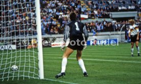 WM 1990 Deutschland - Jugoslawien