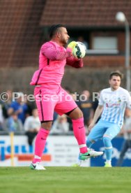 Tim Wiese (SSV Dillingen)
