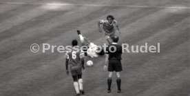 WM 1990 Argentinien - Kamerun