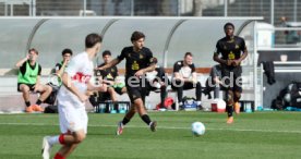 08.03.26 U19 VfB Stuttgart - U19 1. FC K&ouml;ln