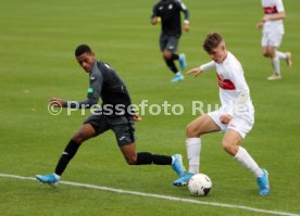 U19 VfB Stuttgart - U17 TSG 1899 Hoffenheim