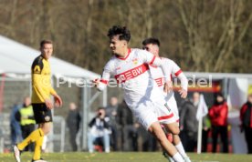 08.02.25 VfB Stuttgart II - SG Dynamo Dresden