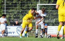 23.08.26 TSV Ph&ouml;nix Steinsfurt - SV Tiefenbach