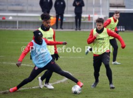 VfB Stuttgart Training