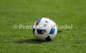 UEFA Frankreich Euro 2016 Irland - Schweden