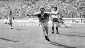 DFB-Pokal Finale 1987 Hamburger SV - Stuttgarter Kickers