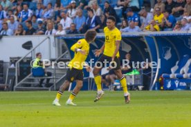 05.09.26 TSG Hoffenheim - Borussia Dortmund