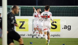30.11.24 VfB Stuttgart II - SV Waldhof Mannheim