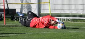 06.11.23 VfB Stuttgart Training
