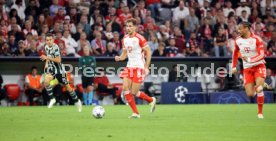 20.09.23 FC Bayern M&uuml;nchen - Manchester United