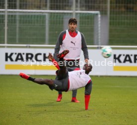 VfB Stuttgart Training