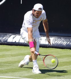 Tennis MercedesCup Stuttgart 2017