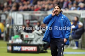 TSG 1899 Hoffenheim - SV Darmstadt 98