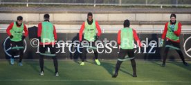 VfB Stuttgart Training