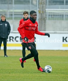 VfB Stuttgart Training