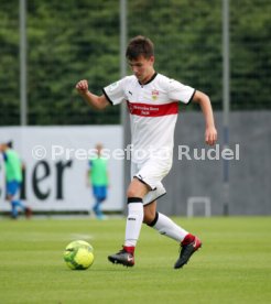 U19 VfB Stuttgart - U17 TSG 1899 Hoffenheim