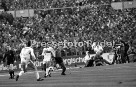 15.11.80 VfB Stuttgart - Hamburger SV