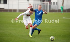 U19 VfB Stuttgart - U19 TSG 1899 Hoffenheim