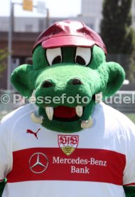 VfB Stuttgart Fototermin 2018/2019