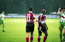 VfB Stuttgart - Rapid Wien