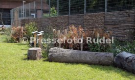 18.07.24 VfB Stuttgart Vorstellung Biodiversit&auml;ts-Lehrpfad