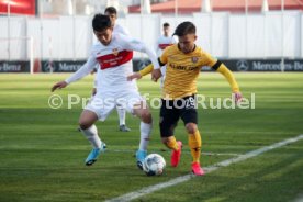VfB Stuttgart - SG Dynamo Dresden