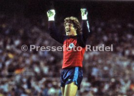 FIFA WM 1982