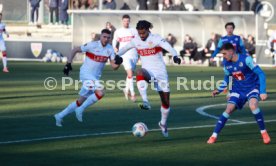 05.01.25 VfB Stuttgart - FC Luzern