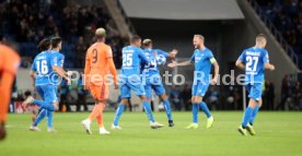 TSG 1899 Hoffenheim - Olympique Lyon