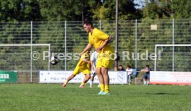 23.08.26 TSV Ph&ouml;nix Steinsfurt - SV Tiefenbach